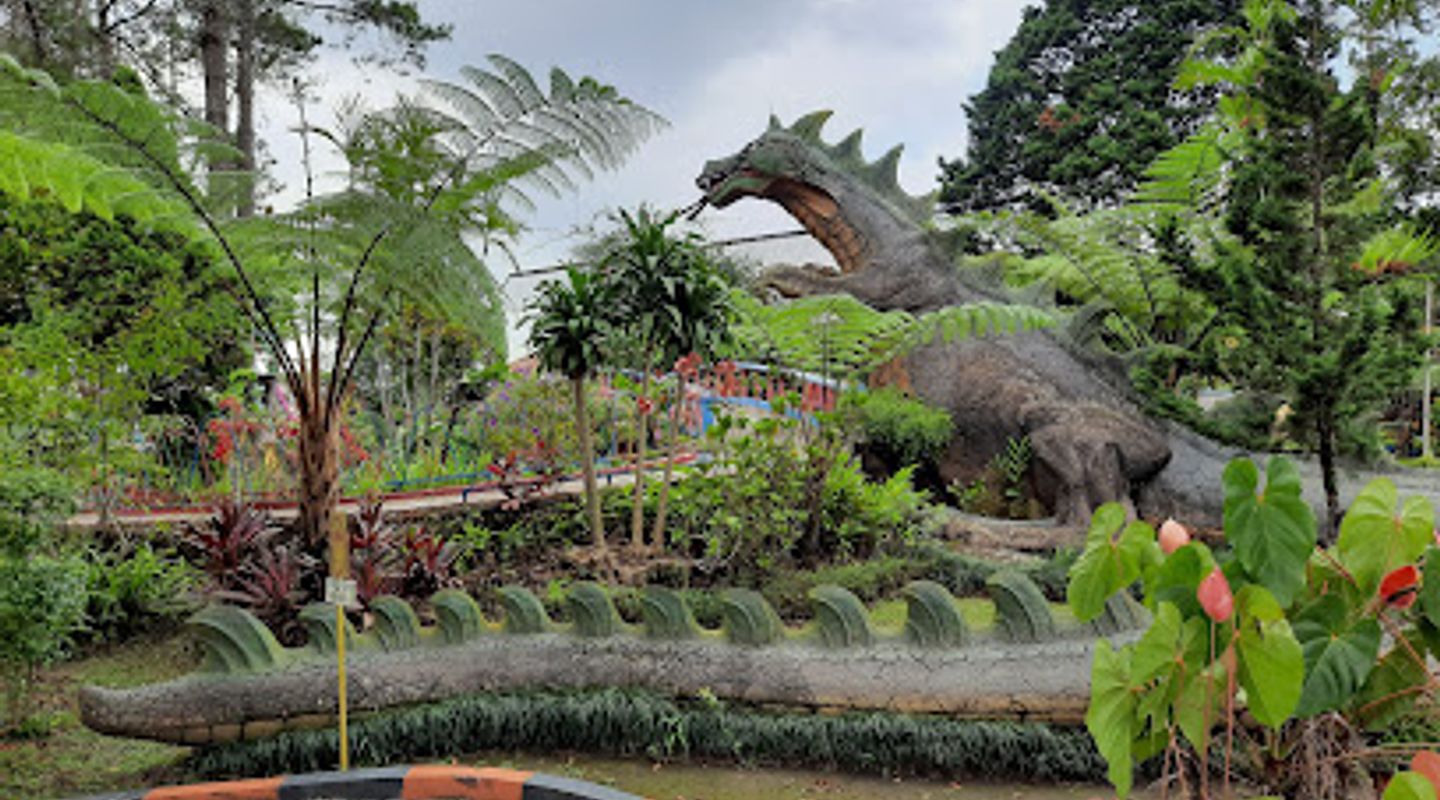 Background