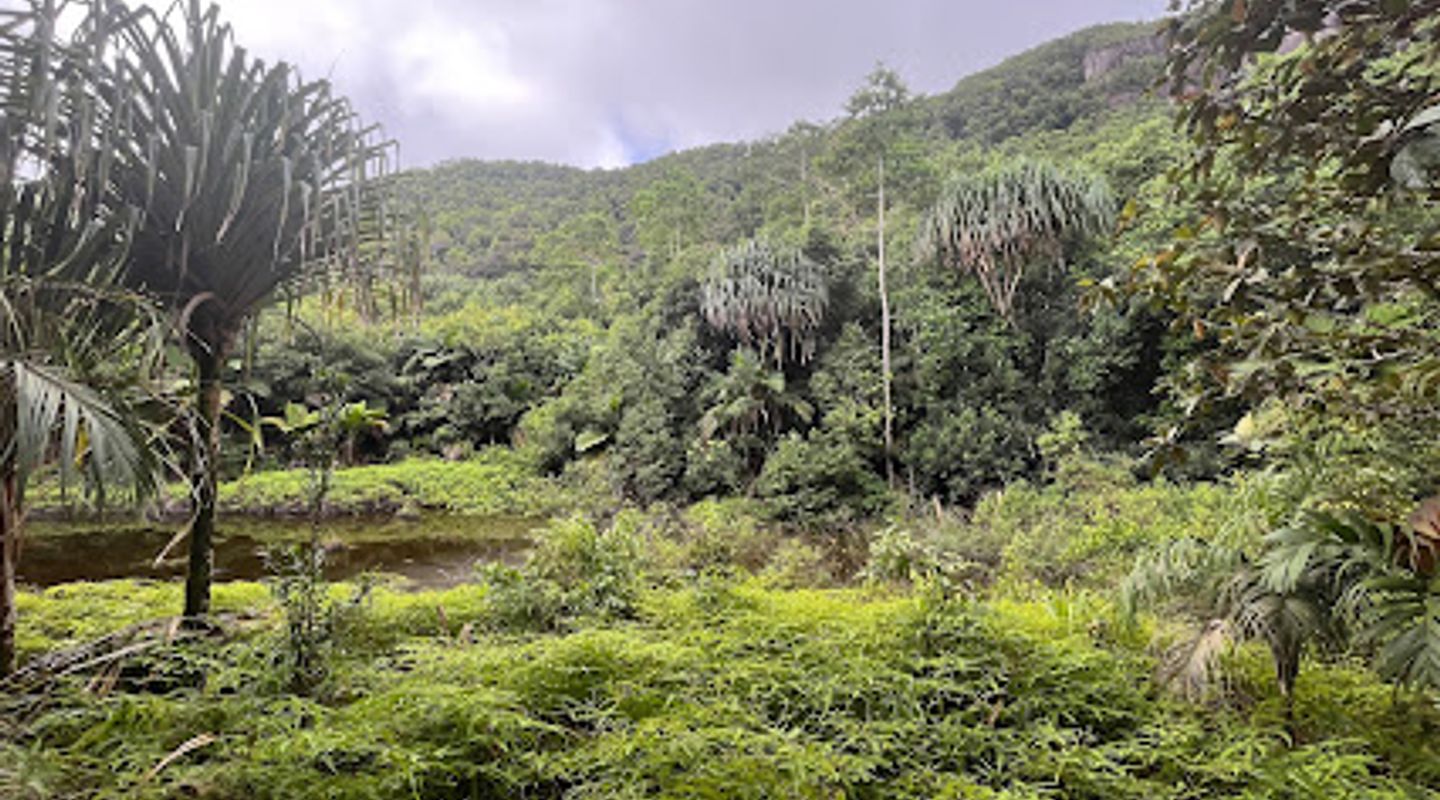 Mare Aux Cochons