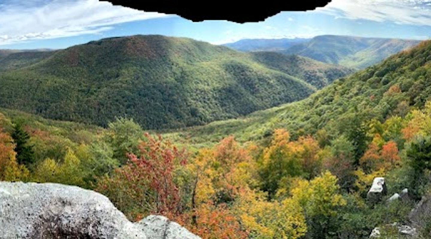 Background