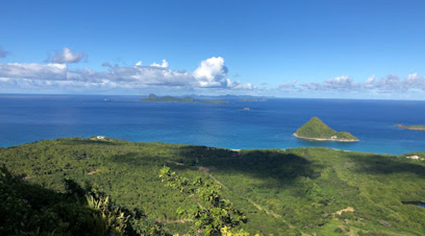 Background