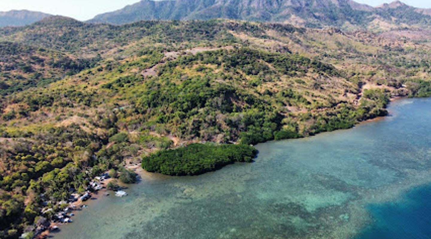 Background