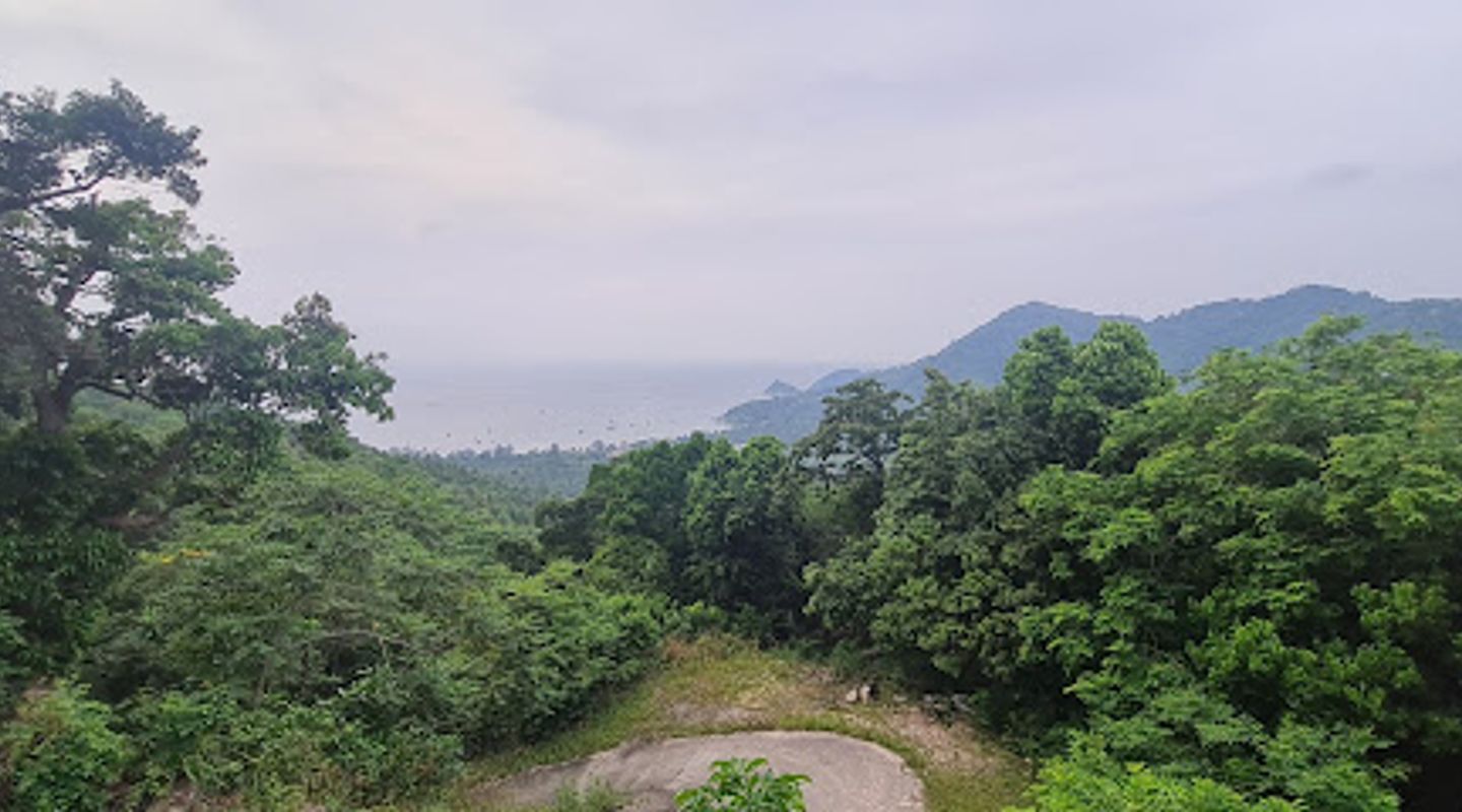 Background