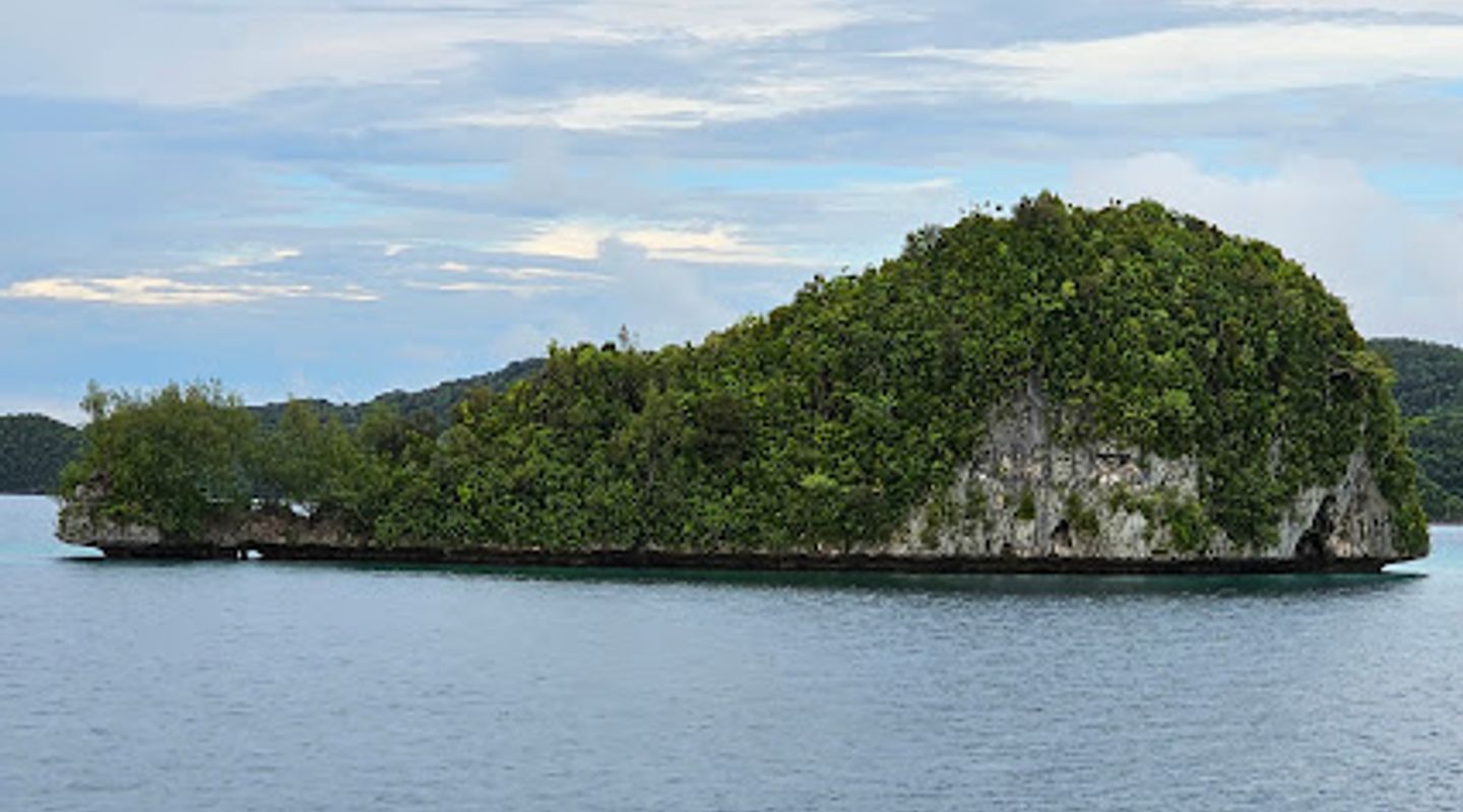 Background