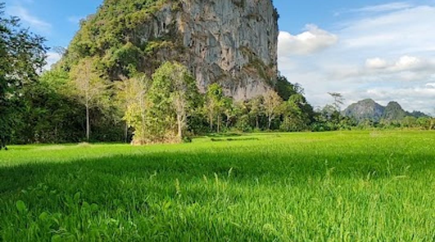 Background