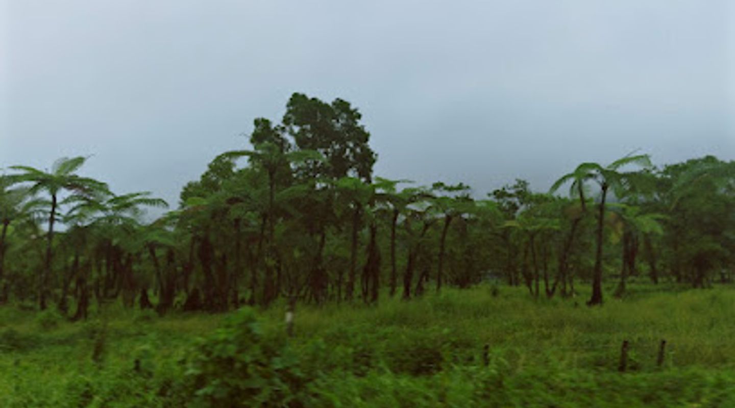 Background