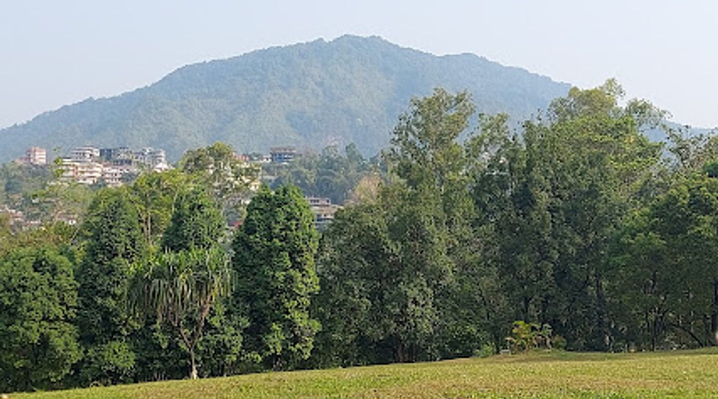 Background