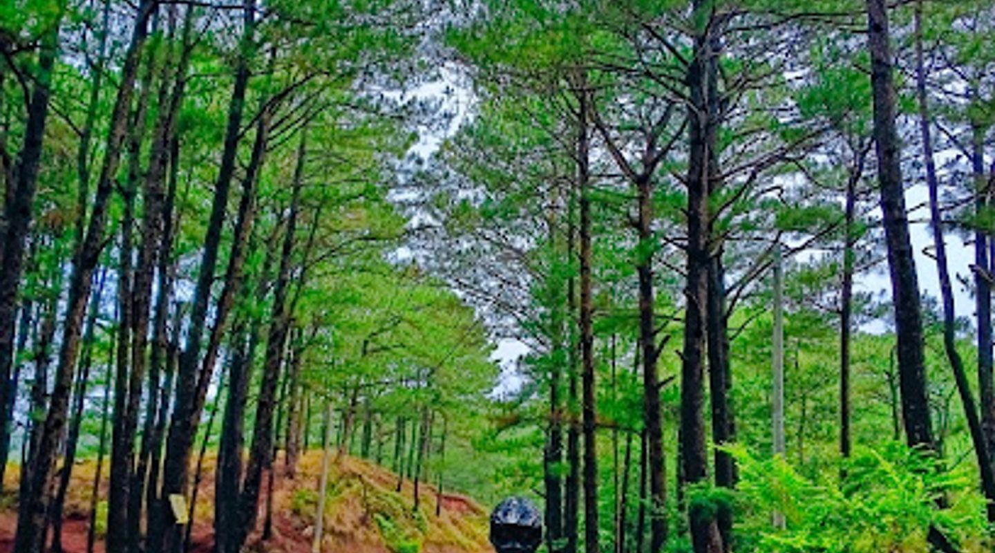 Background