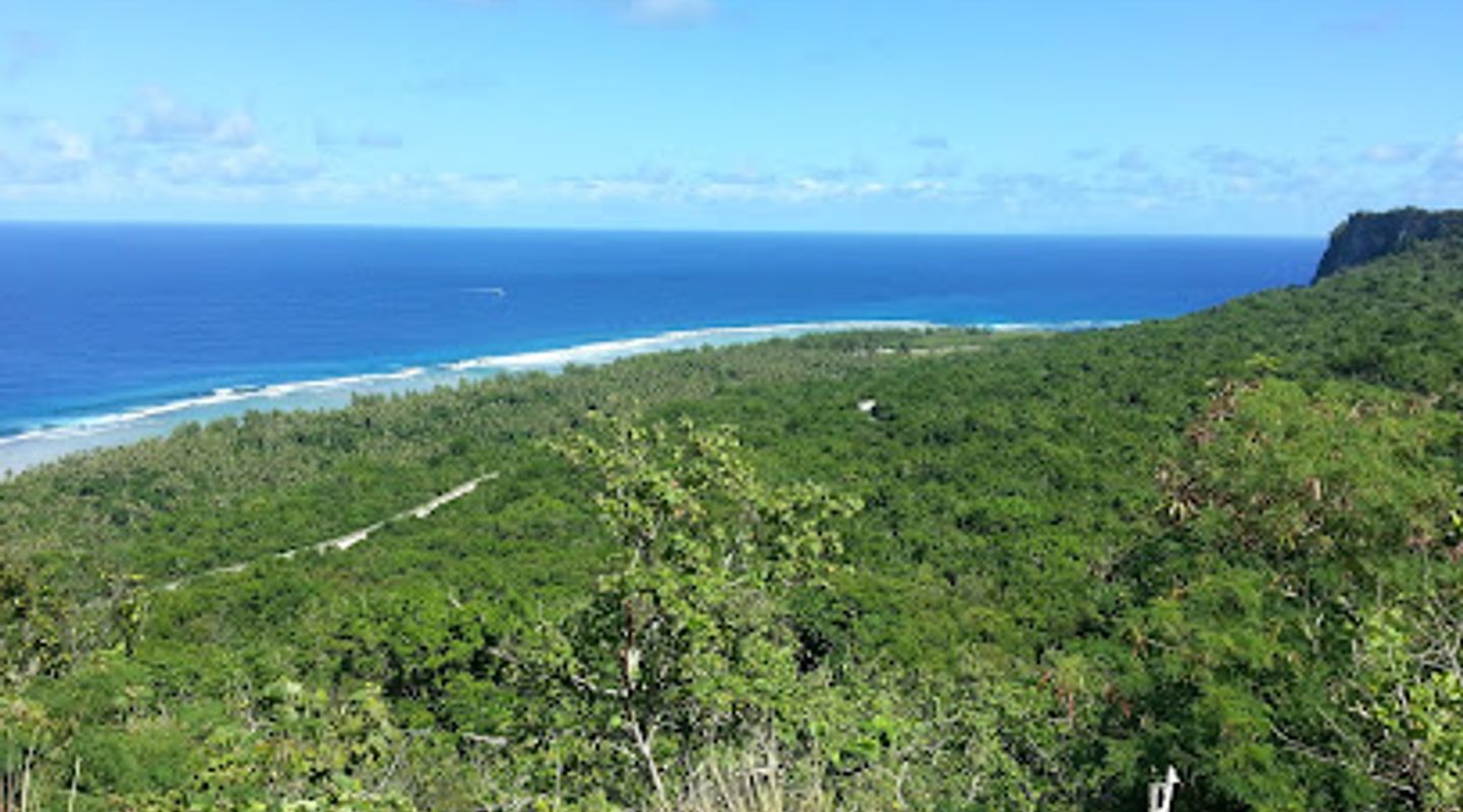 Background