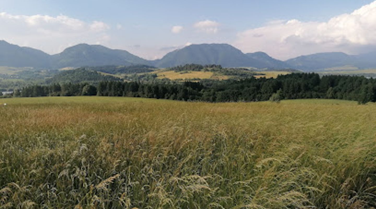 Background