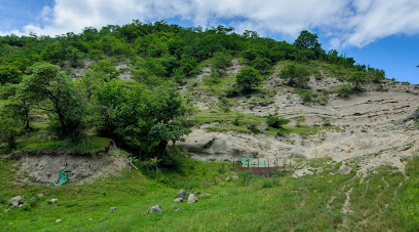 Background