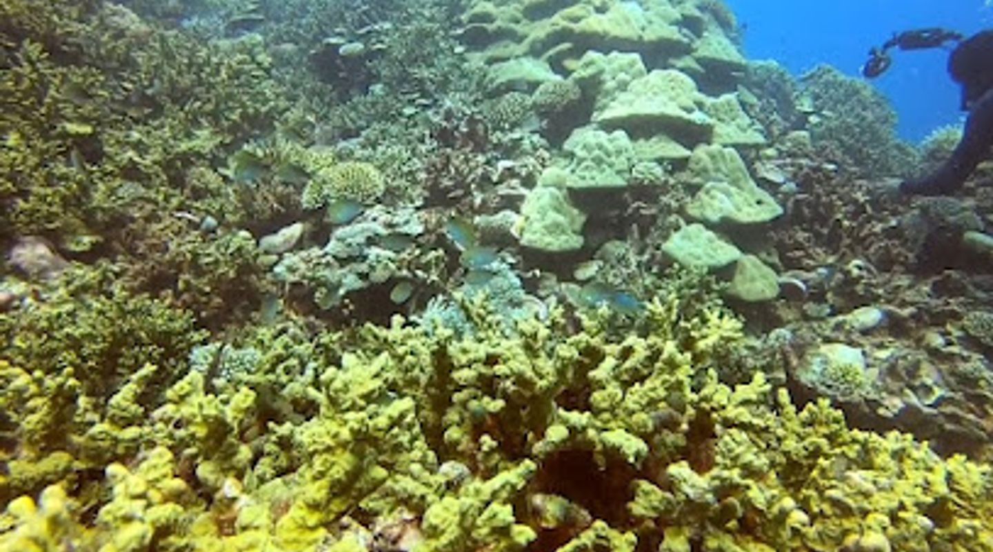 Background
