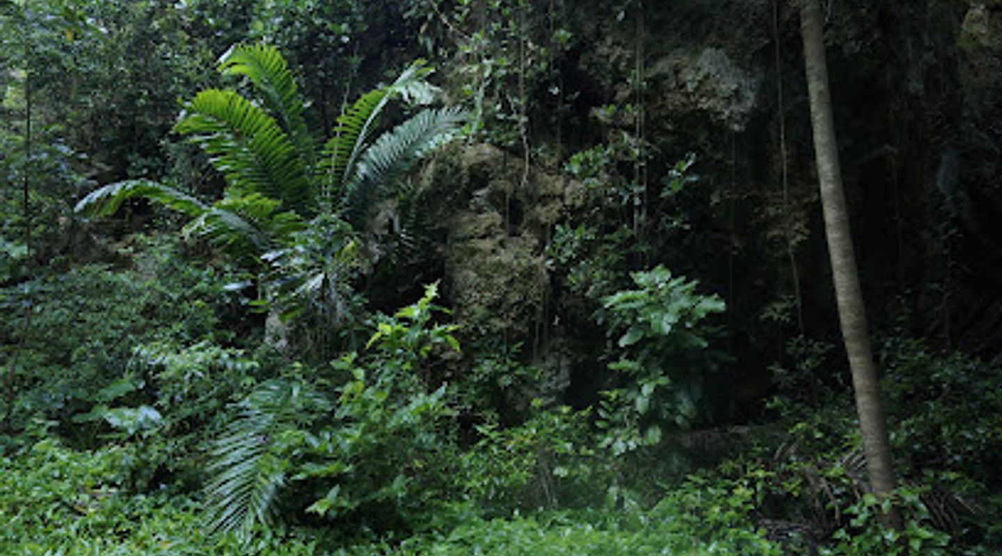 Background