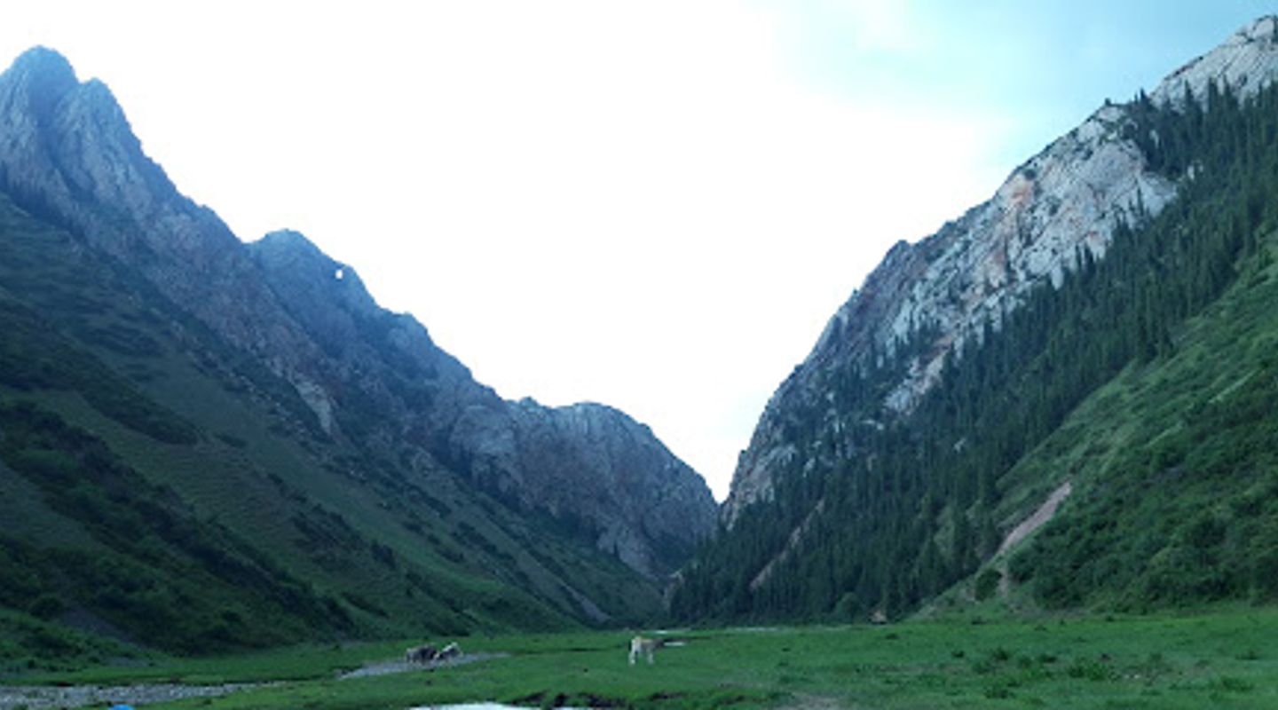 Background