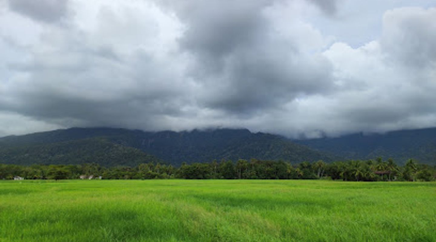 Background