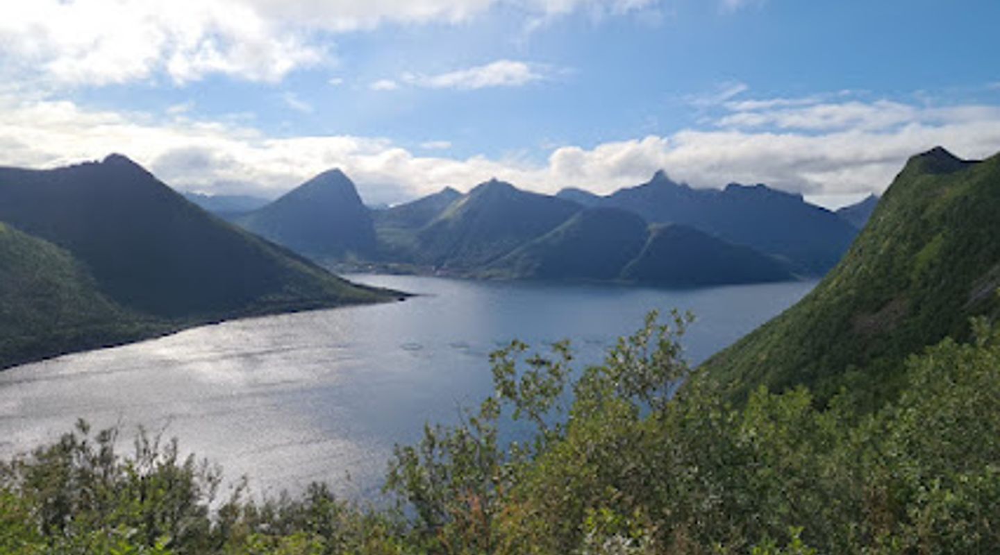 Background