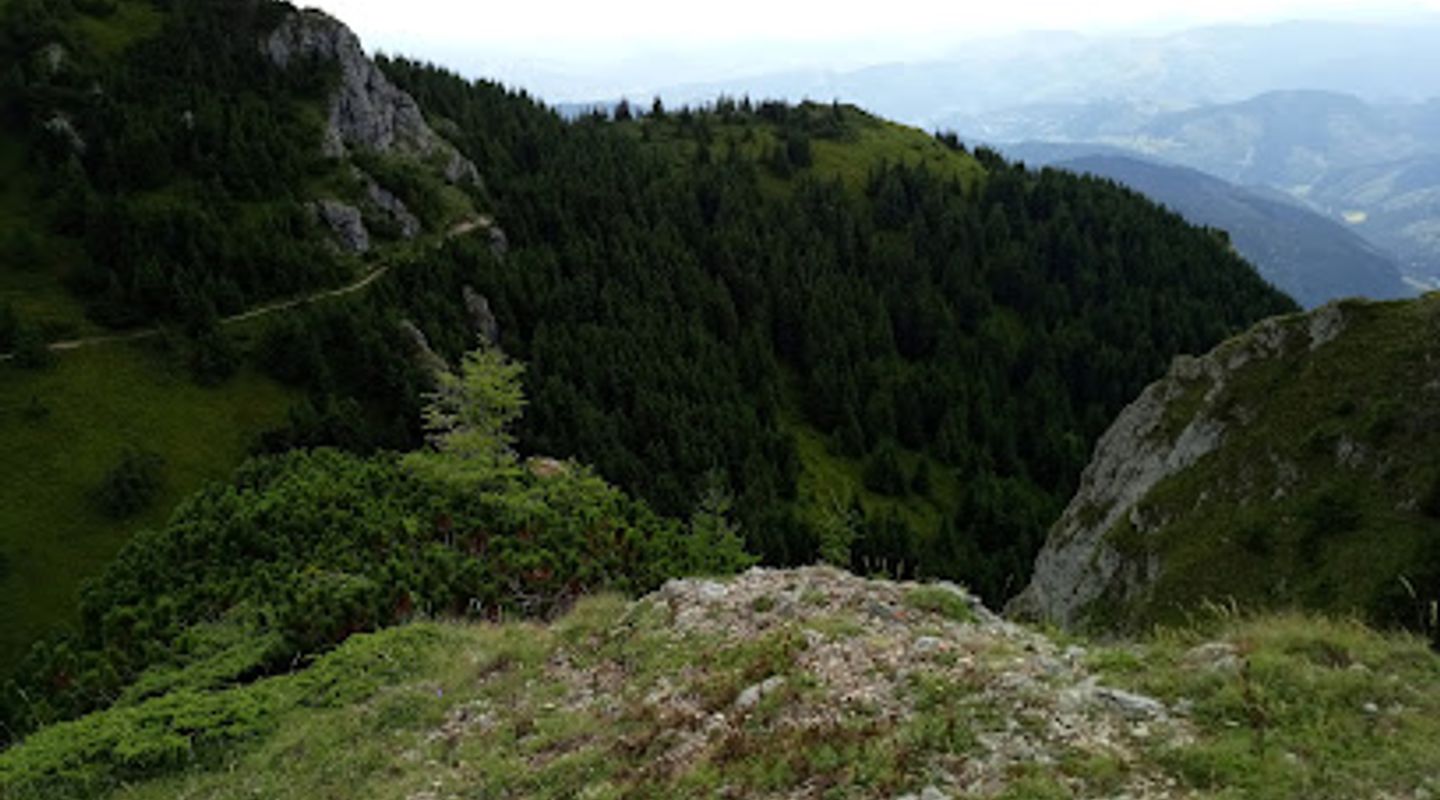 Background