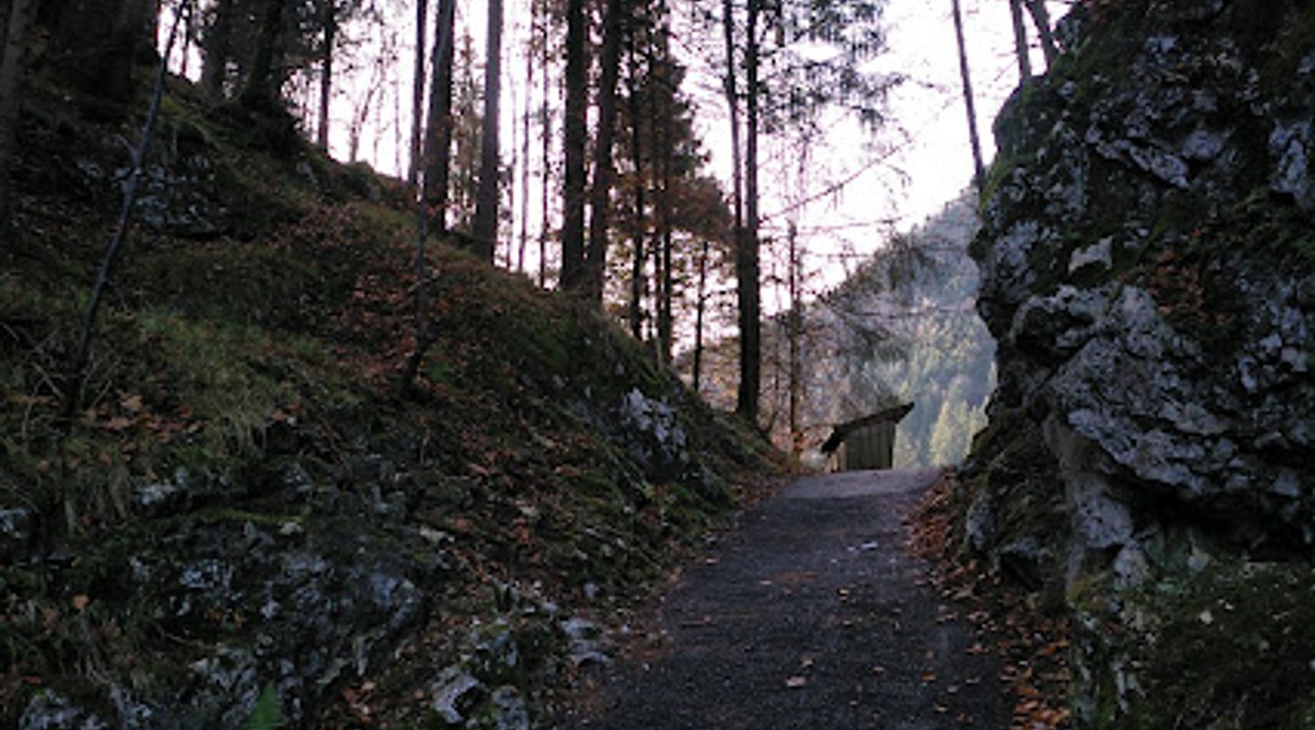 Background