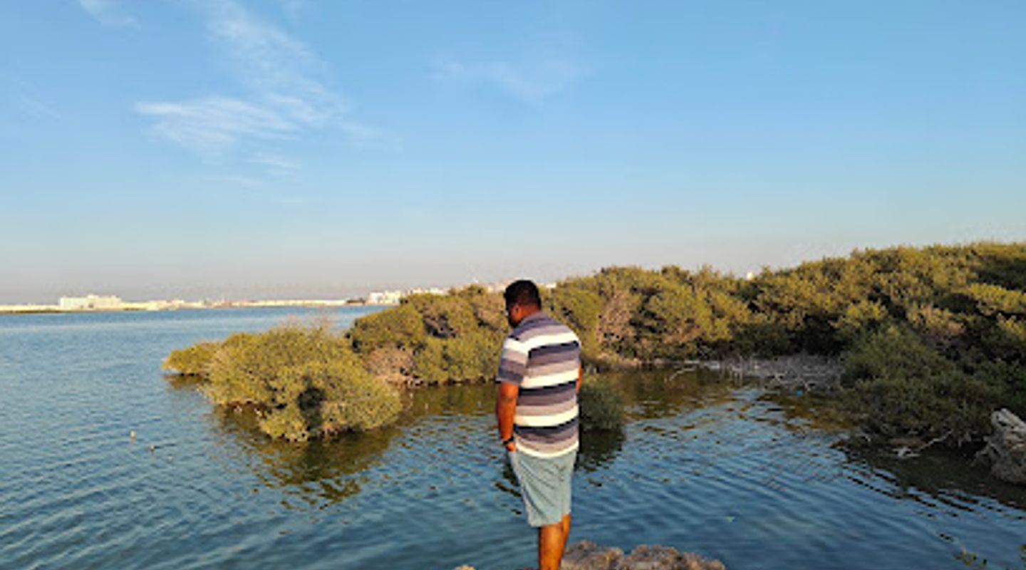 Background
