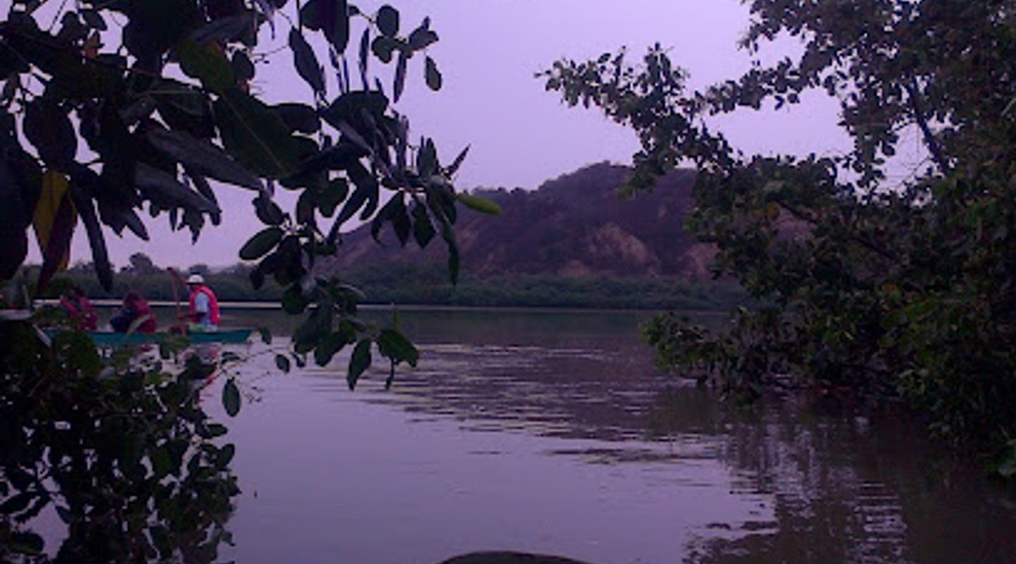 Background