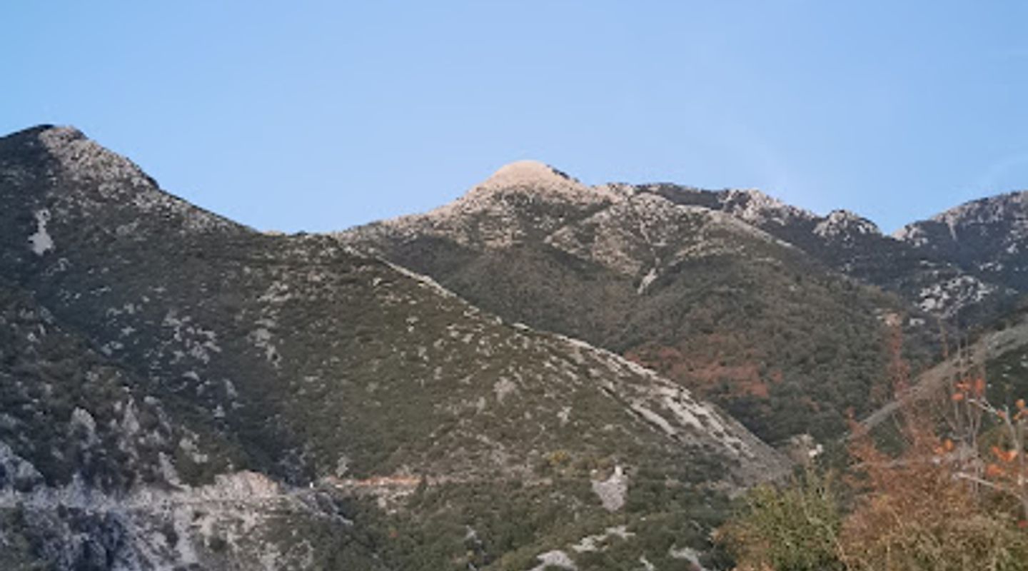 View point