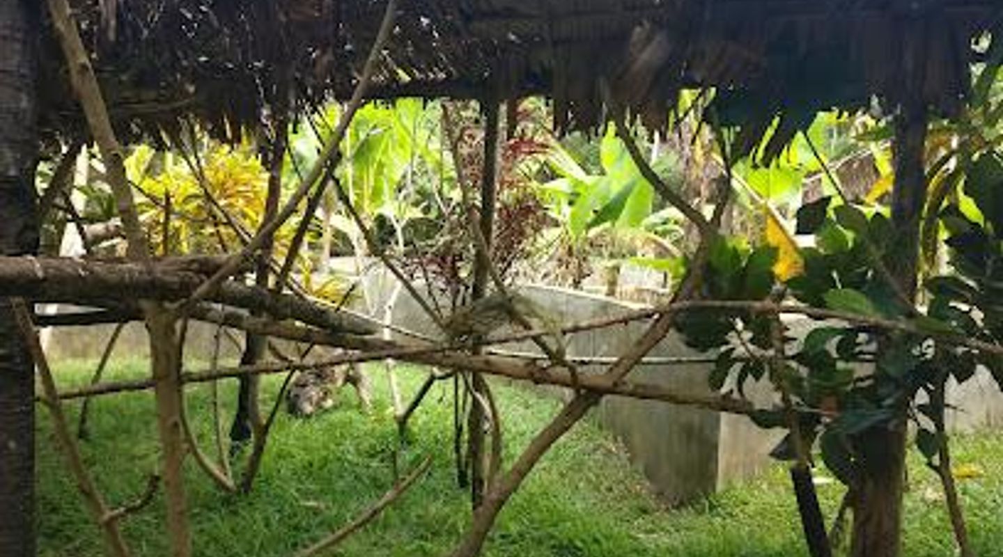 Lemuria Land
