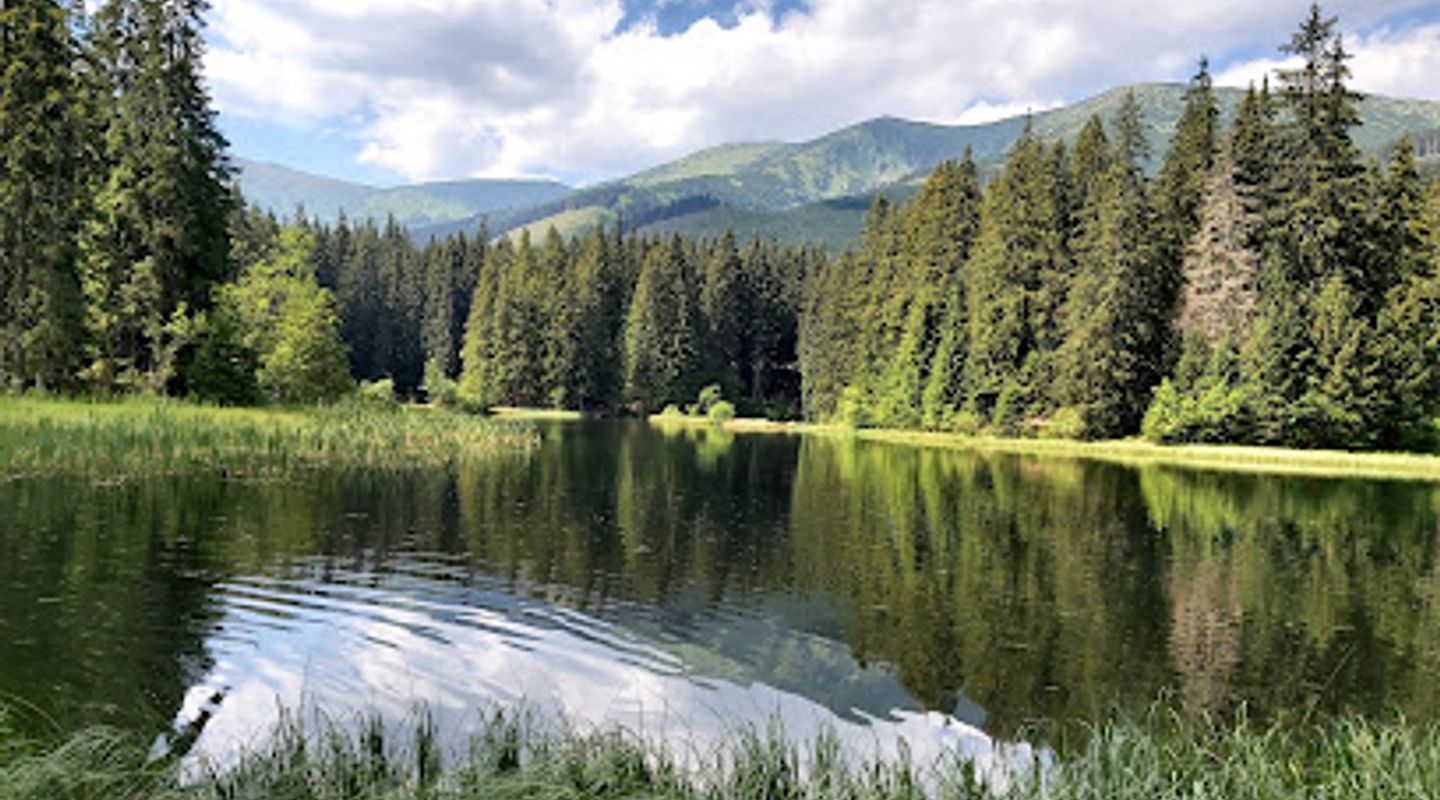 Vrbické pleso