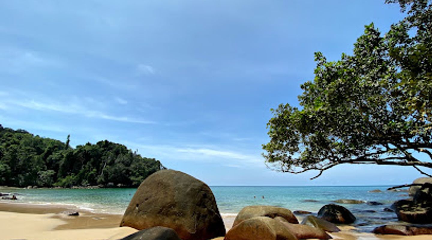 Background