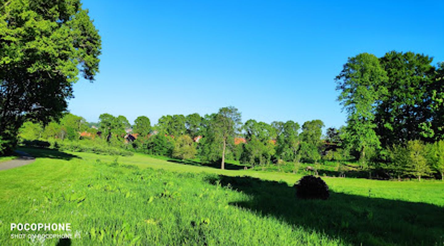 Background