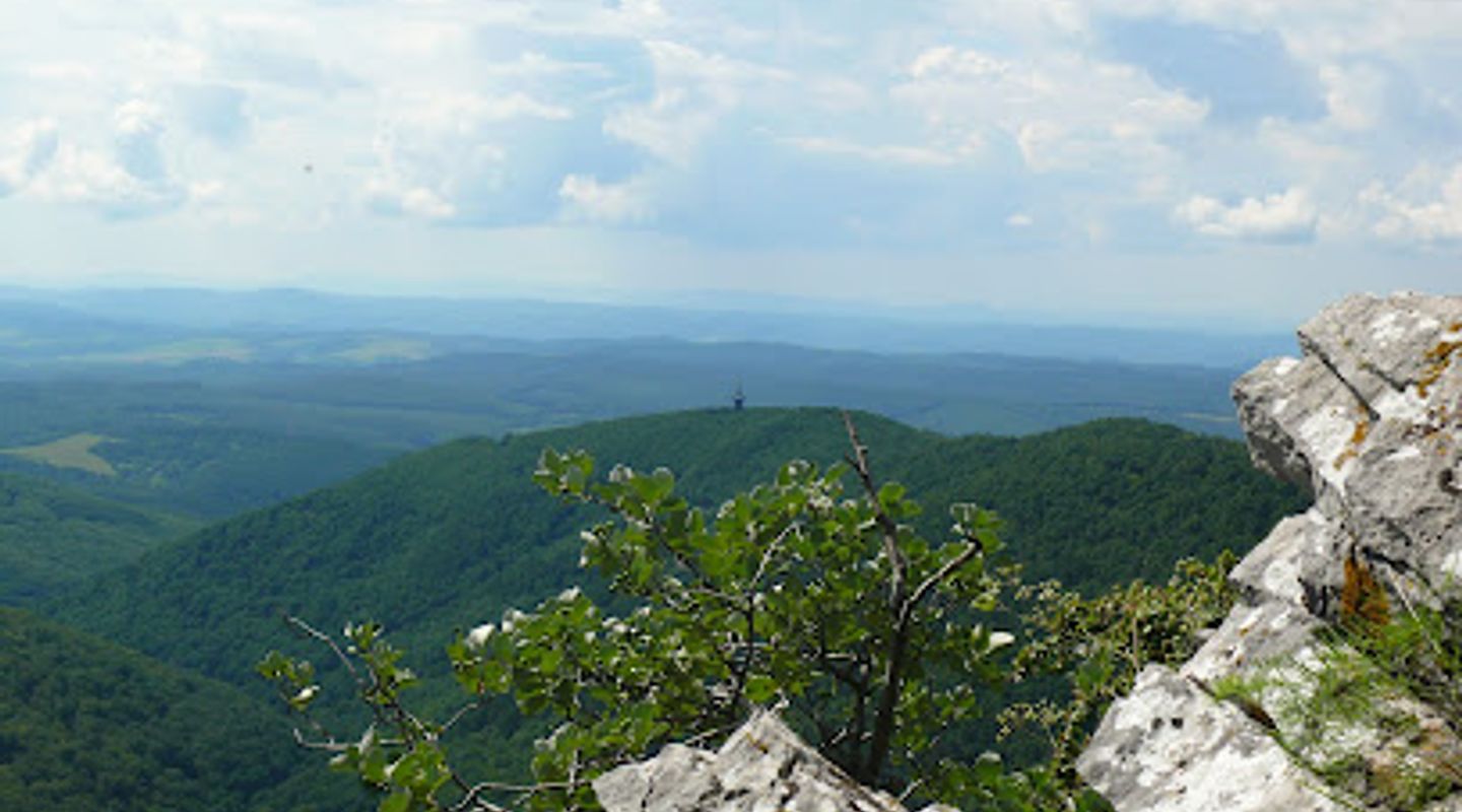 Background