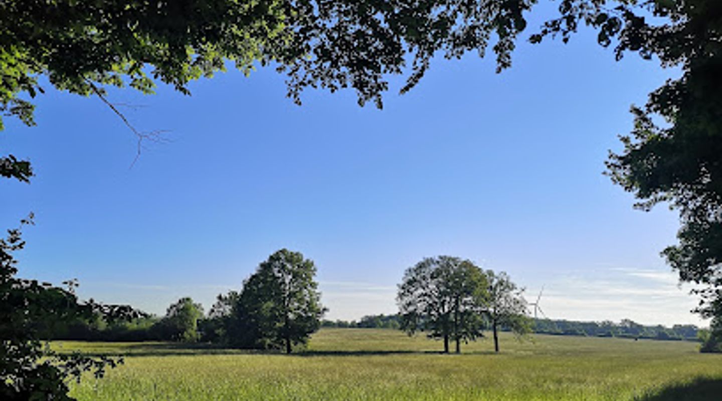 Vorbergs Hügel