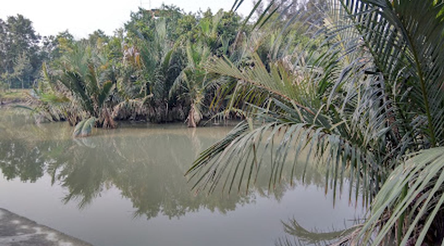 Background