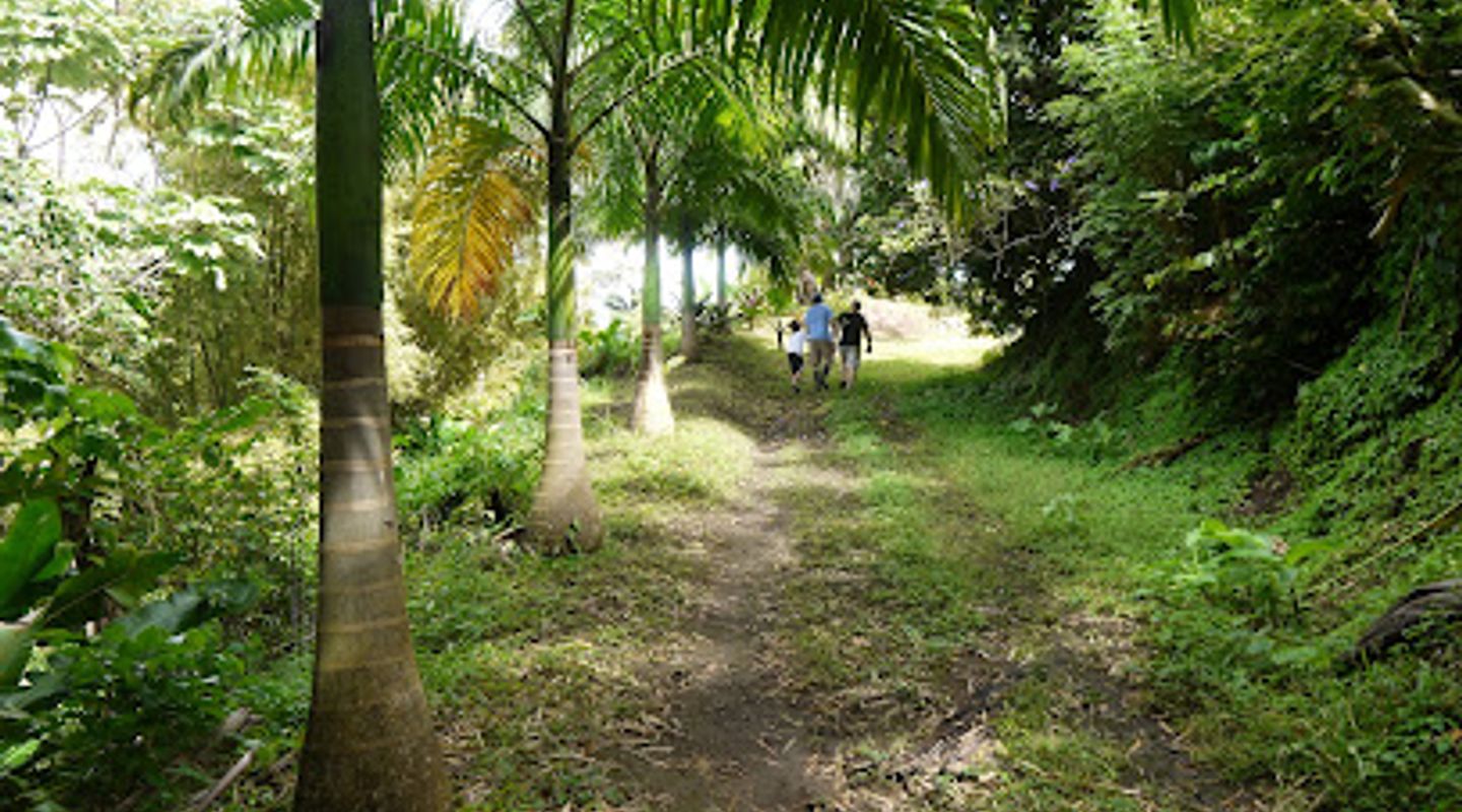 Background