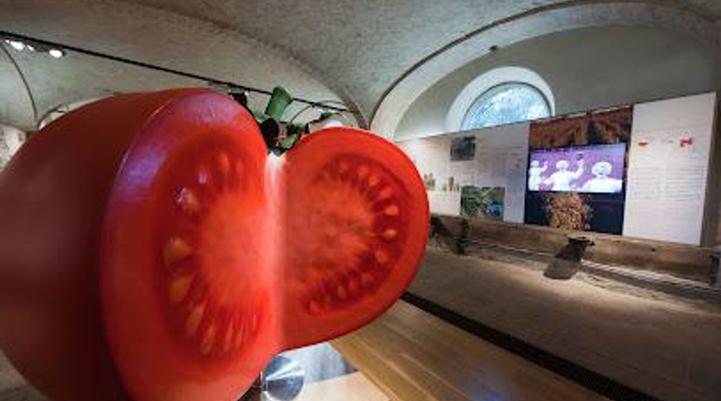 Museum of Tomato