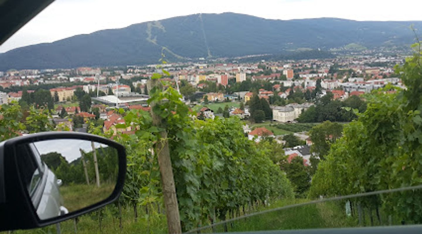 Mestni vrh