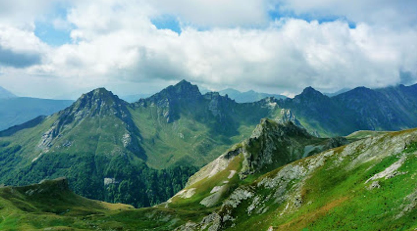 Background