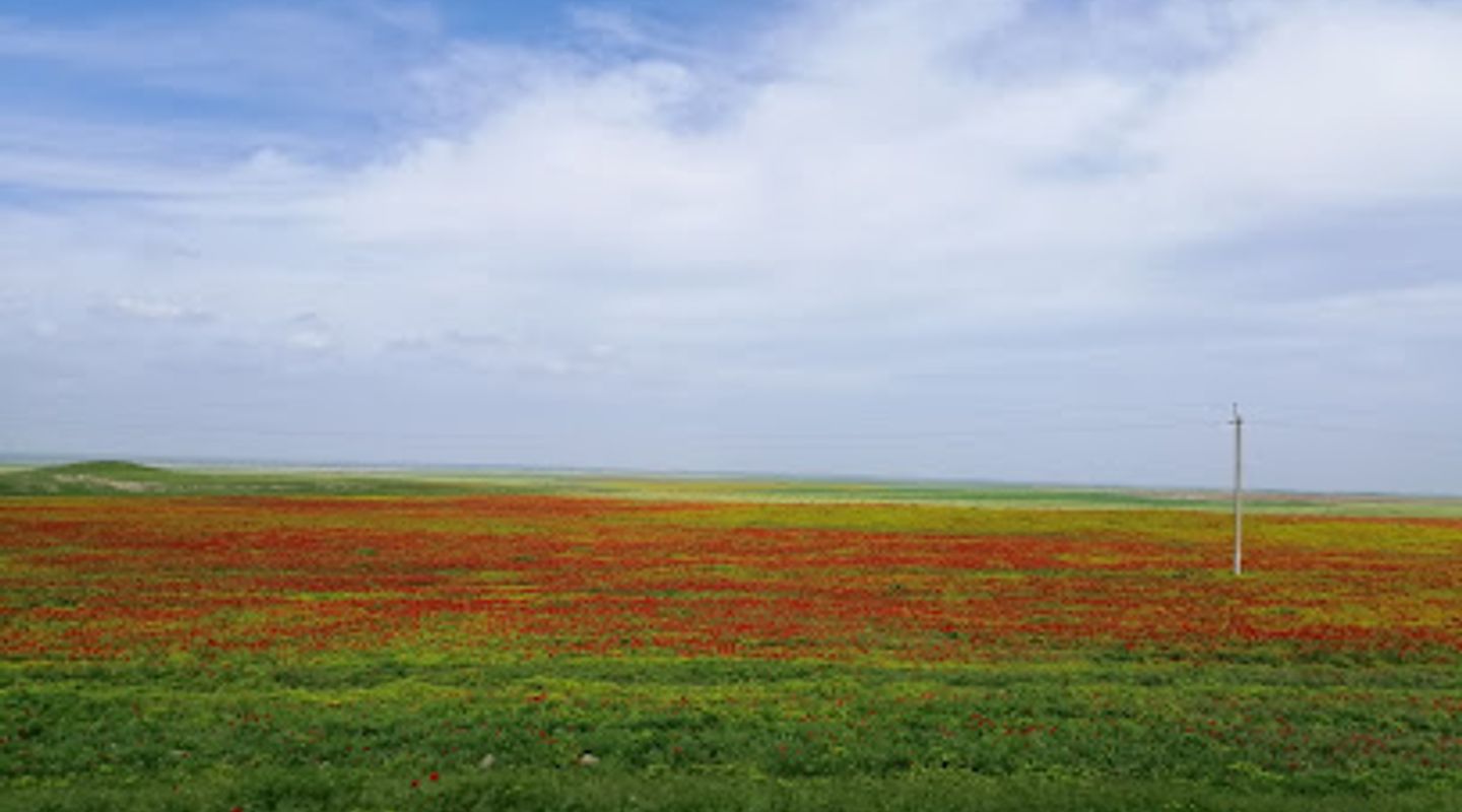 Background