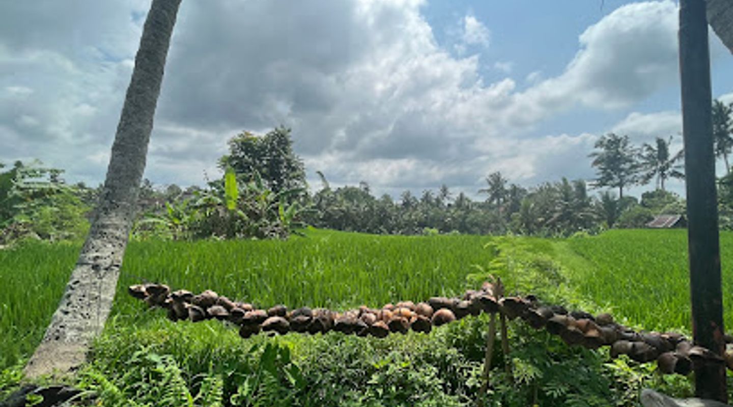 Background