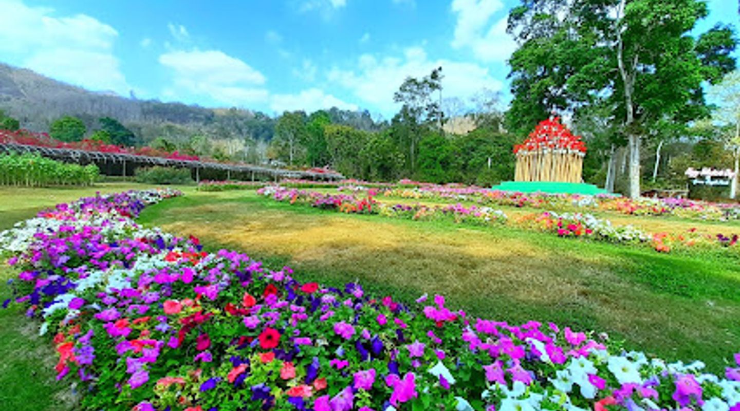 Background