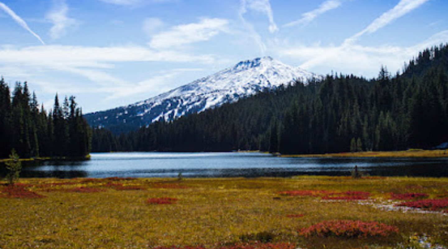 Background