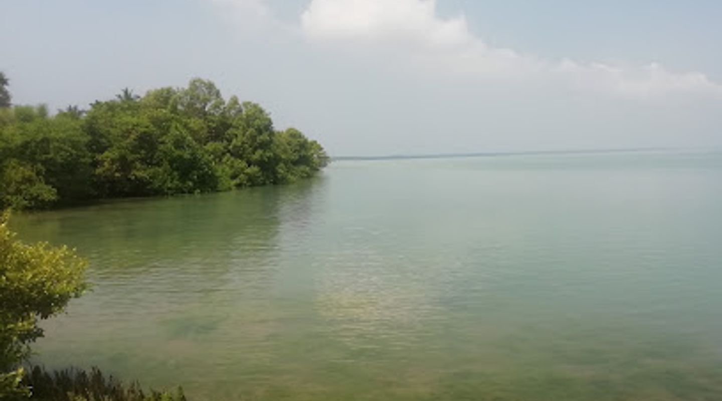 Background
