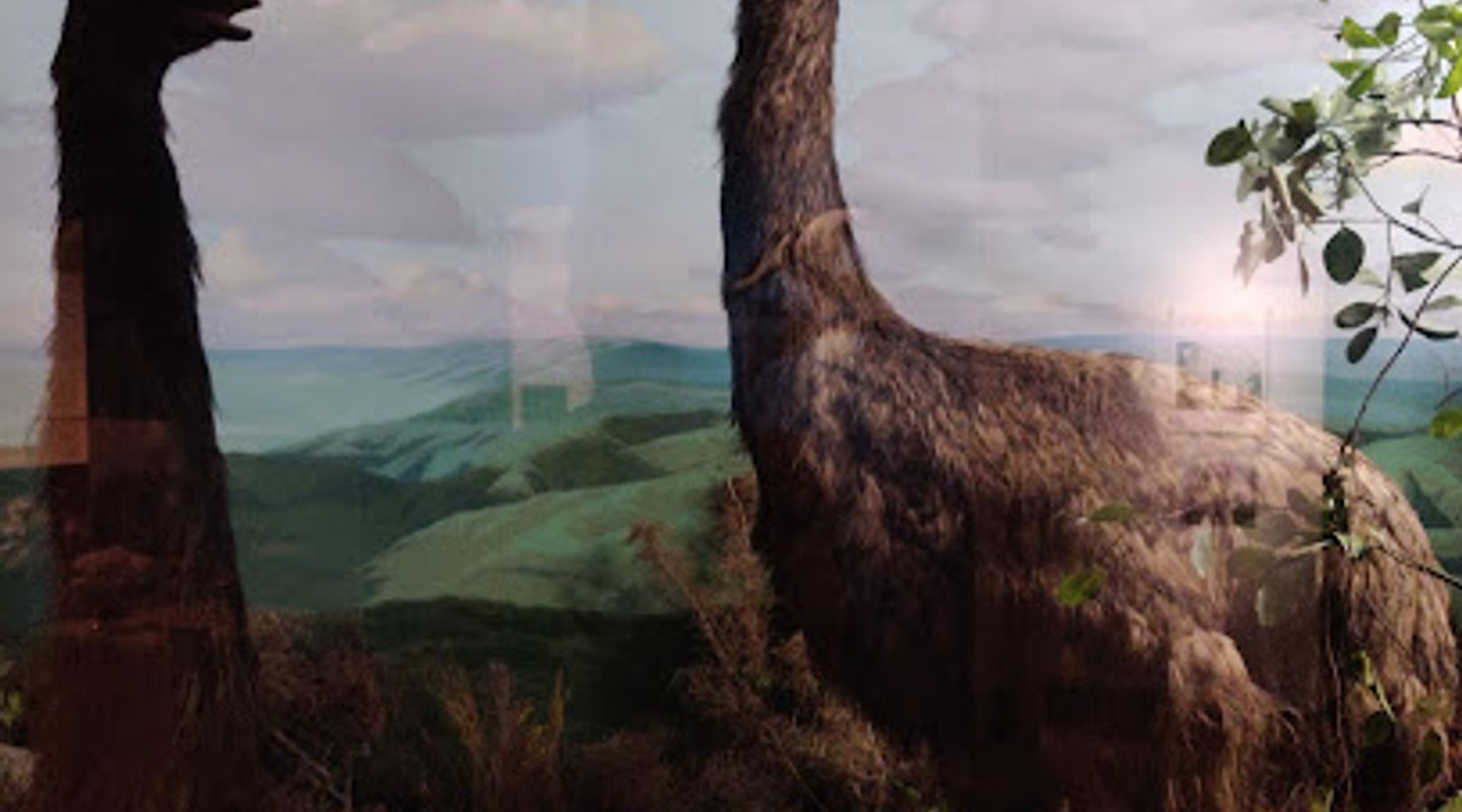 Background
