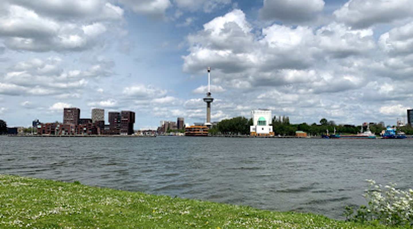 Background