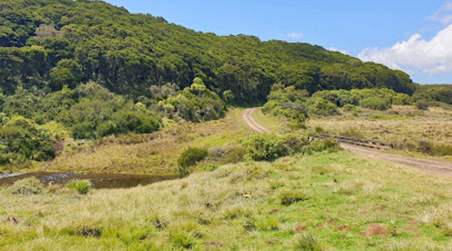 Background