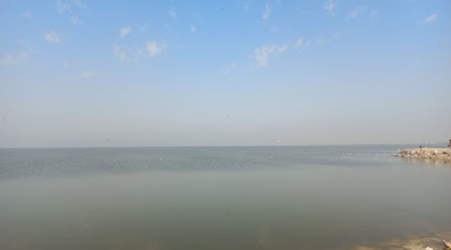 Background