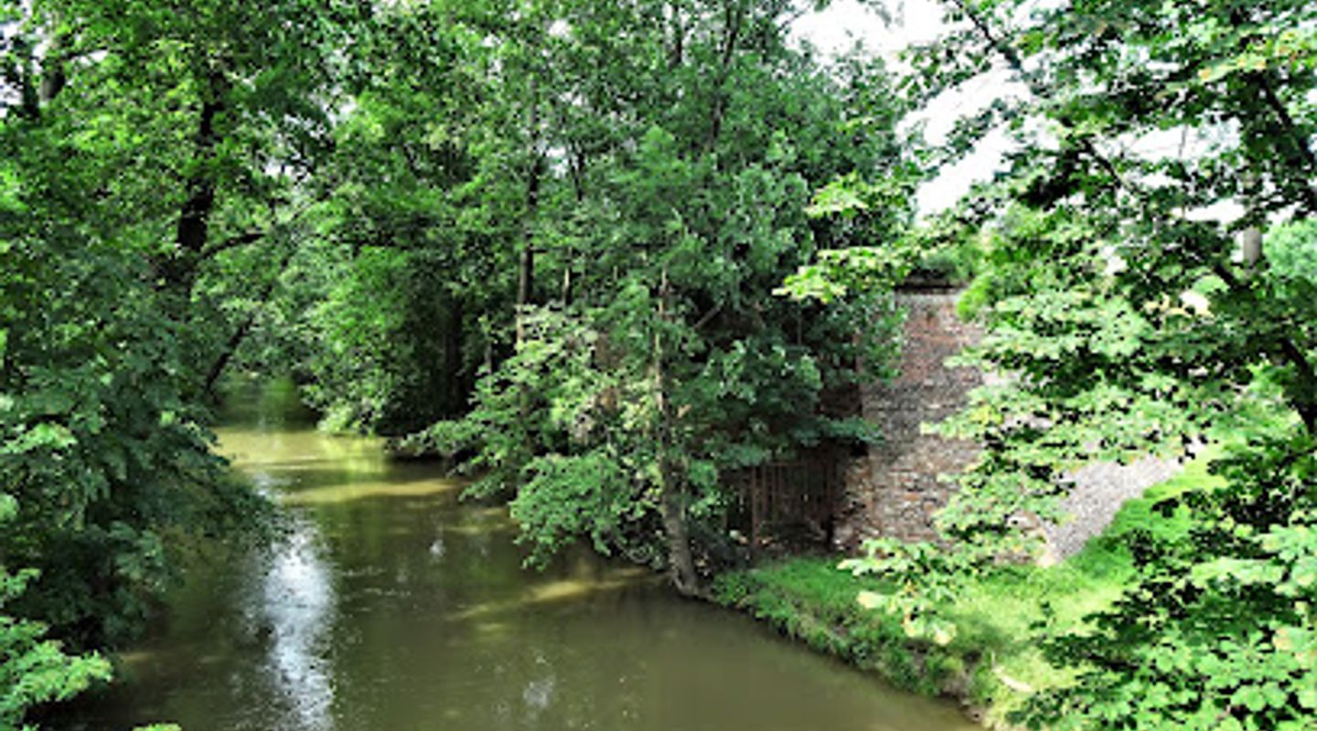 Background