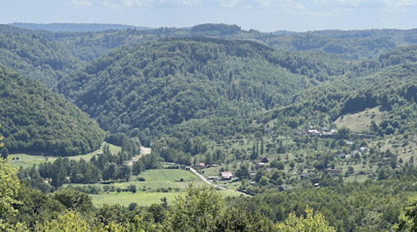 Cetatea Chioarului