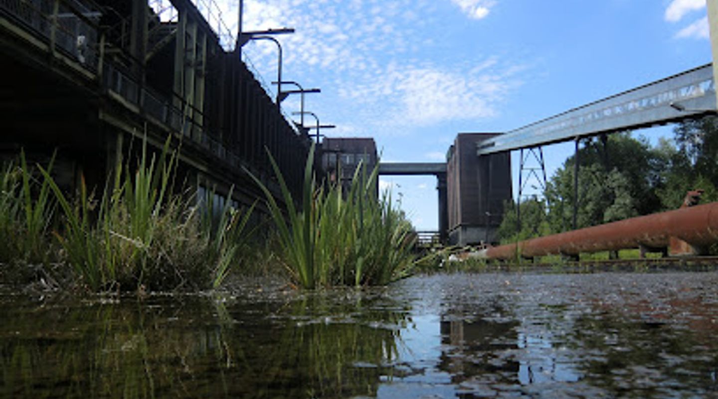 Background