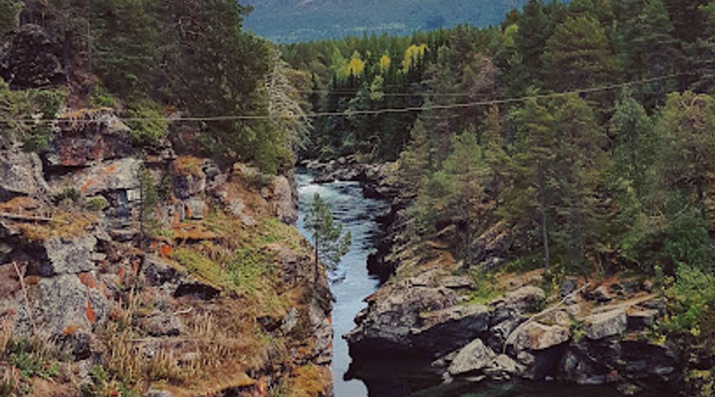 Background