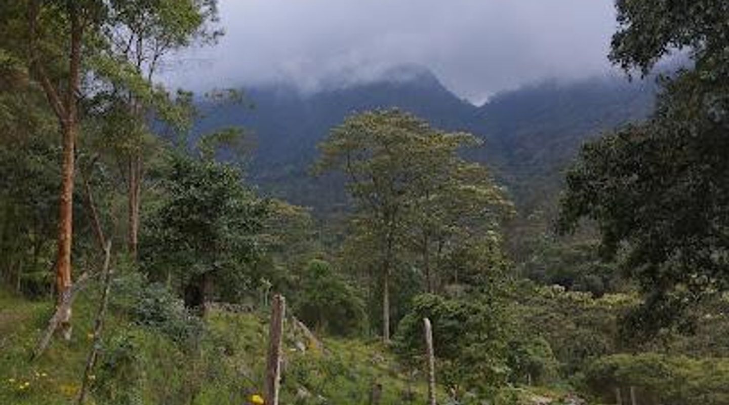 Los Tunos Natural Park