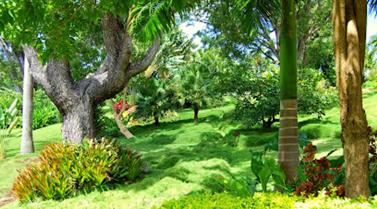 Sunnyside Garden